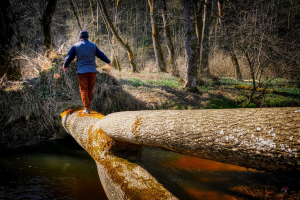 mind-body balance from pain confusion lost my job help remote healing
